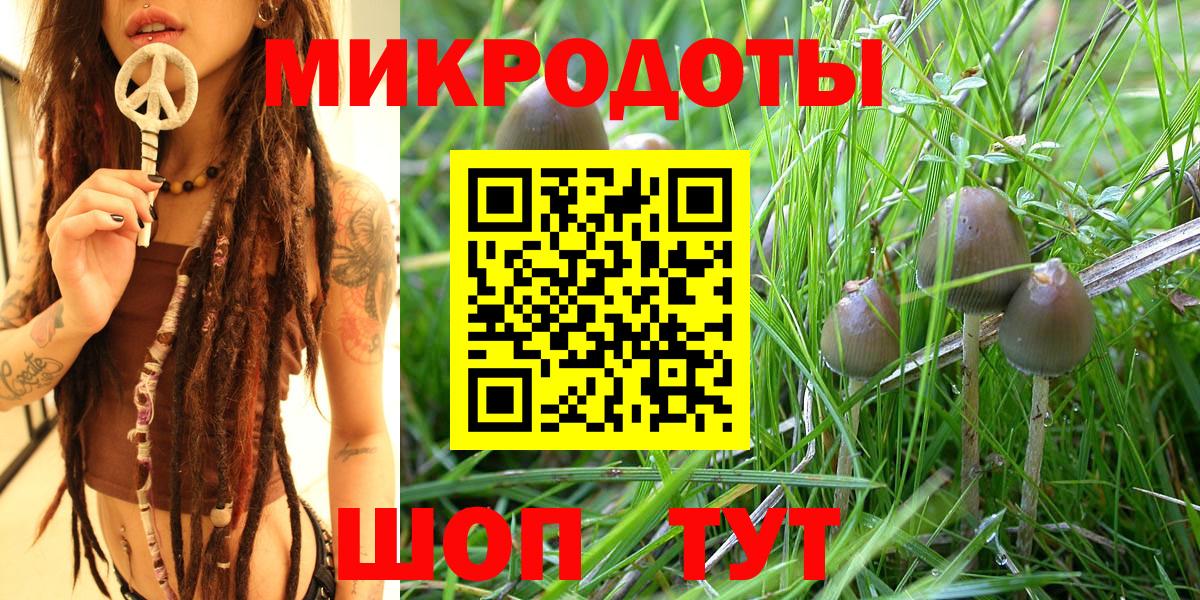 Галлюциногенные грибы мицелий  Вход с VPN  Среднеуральск 